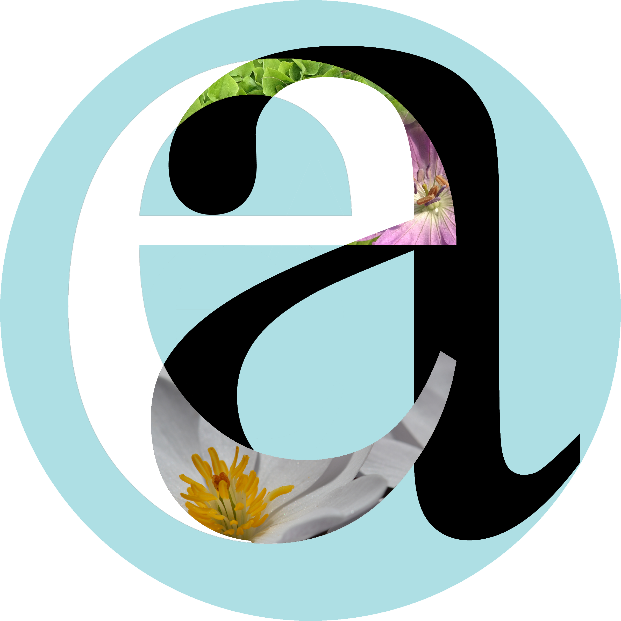 Ephemeral Ark Native Plant Nursery_Logo